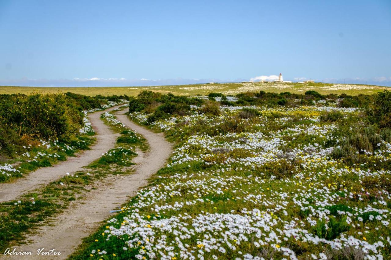 Flamink Beach View Cottage In Paternoster Ngoại thất bức ảnh