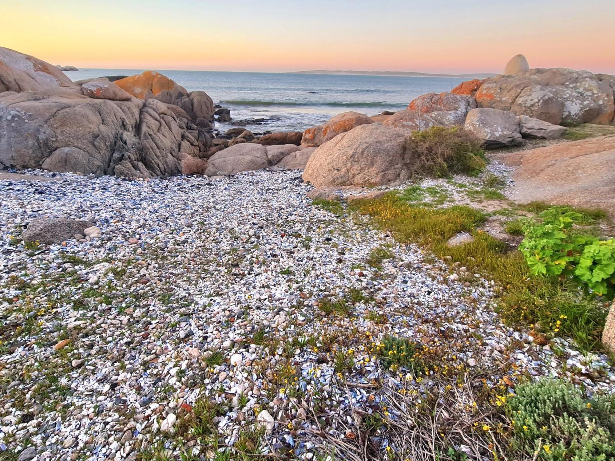 Flamink Beach View Cottage In Paternoster Ngoại thất bức ảnh
